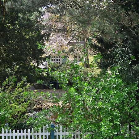 Ferienhof Tom Diek Йорк Экстерьер фото